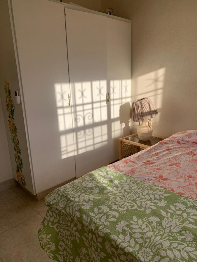 Raivens Nest Bed And Breakfastクライストチャーチ エクステリア 写真