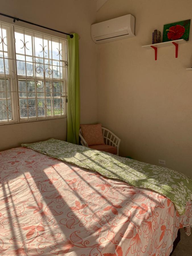 Raivens Nest Bed And Breakfastクライストチャーチ エクステリア 写真