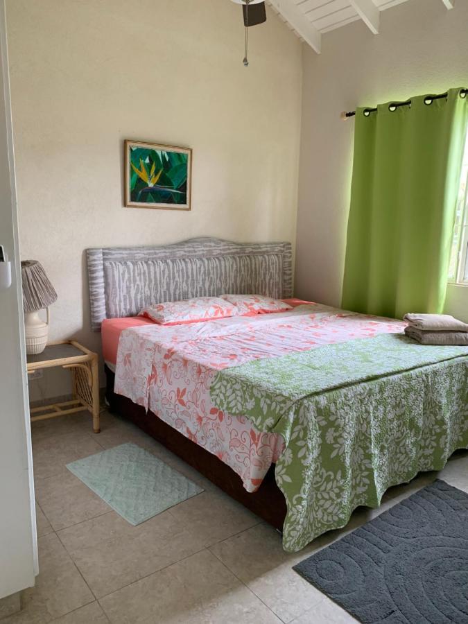 Raivens Nest Bed And Breakfastクライストチャーチ エクステリア 写真